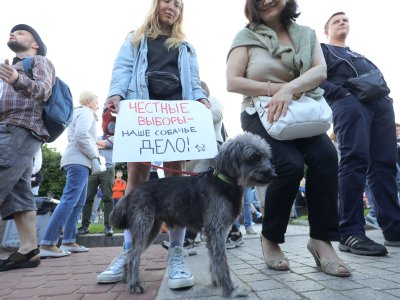 Единый день голосования 2022 года. Хроника предвыборного давления
